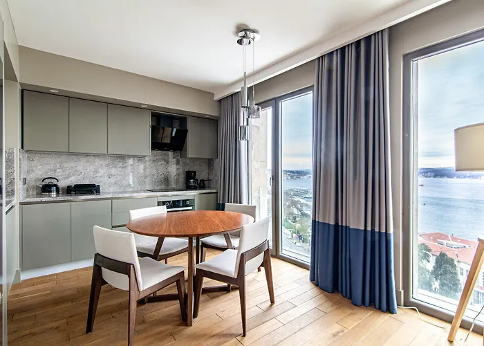 Flat With Panoramic Bosphorus View In Cihangir アパート イスタンブール