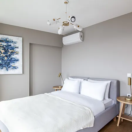 Appartement Flat With Panoramic Bosphorus View In Cihangir *